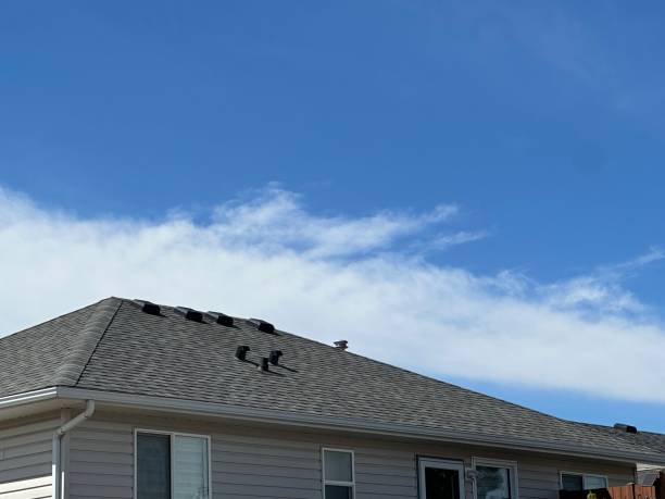 Best 4 Ply Roofing  in Waipio Acres, HI